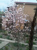 2014-03-28 06.52.19