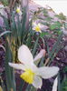 IMG_20140329_064146