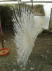 20140329_103906