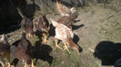 WP_20140314_004