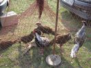 IMG_3751
