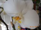 DSCN4579