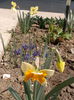 2014-03-30-3732