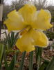 2014-03-29casata