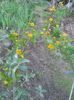 DSCN5776