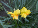 DSCN5785