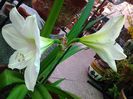 20140330_115047
