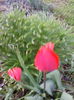 IMG_20140330_192535