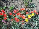 DSCN0939_001