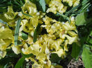 DSCN0942_004