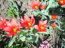 DSCN0945_007