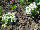 DSCN0947_009