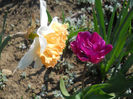 DSCN0952_014