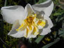 DSCN0954_016