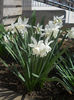 DSCN0960_022