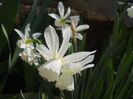DSCN0965_027