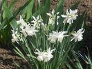 DSCN0968_030