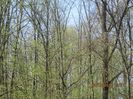 IMG_3495