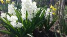 20140329_151845