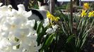 20140329_151908