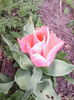 IMG_20140401_161558