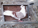 IMG_20140401_175600