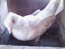 IMG_20140401_181135