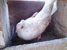 IMG_20140401_181205