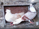 IMG_20140401_181629