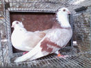 IMG_20140401_181735