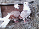 IMG_20140401_182357