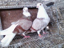 IMG_20140401_182405