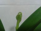 20140401_215331