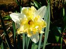 DSC01351