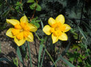 DSCN0979