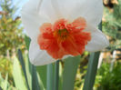 DSCN0983