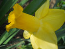 DSCN0991