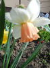 DSCN0996_021