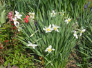 DSCN0997_022