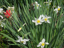DSCN0998_023