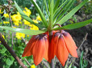 DSCN1000_025