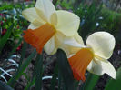 DSCN0994