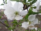 IMG_3586