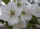 IMG_3603