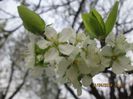 IMG_3613