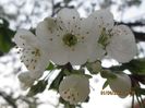 IMG_3634