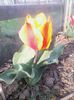 IMG_20140401_171555
