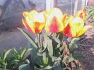 IMG_20140401_171607