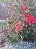 IMG_20140401_171717