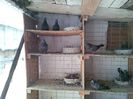 IMG_20140329_130114